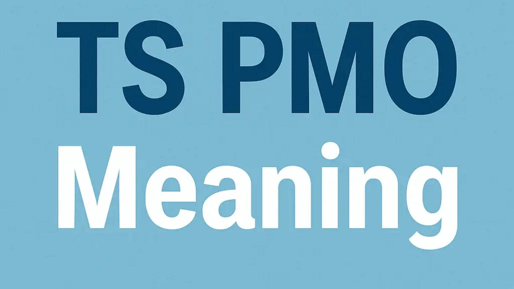 TS PMO Meaning
